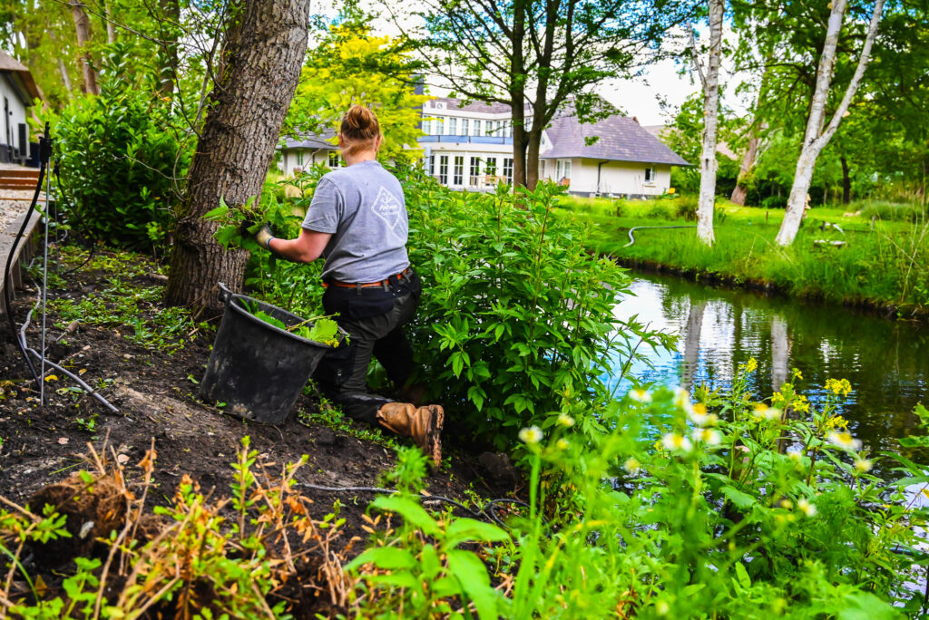 Leerling hovenier vacature