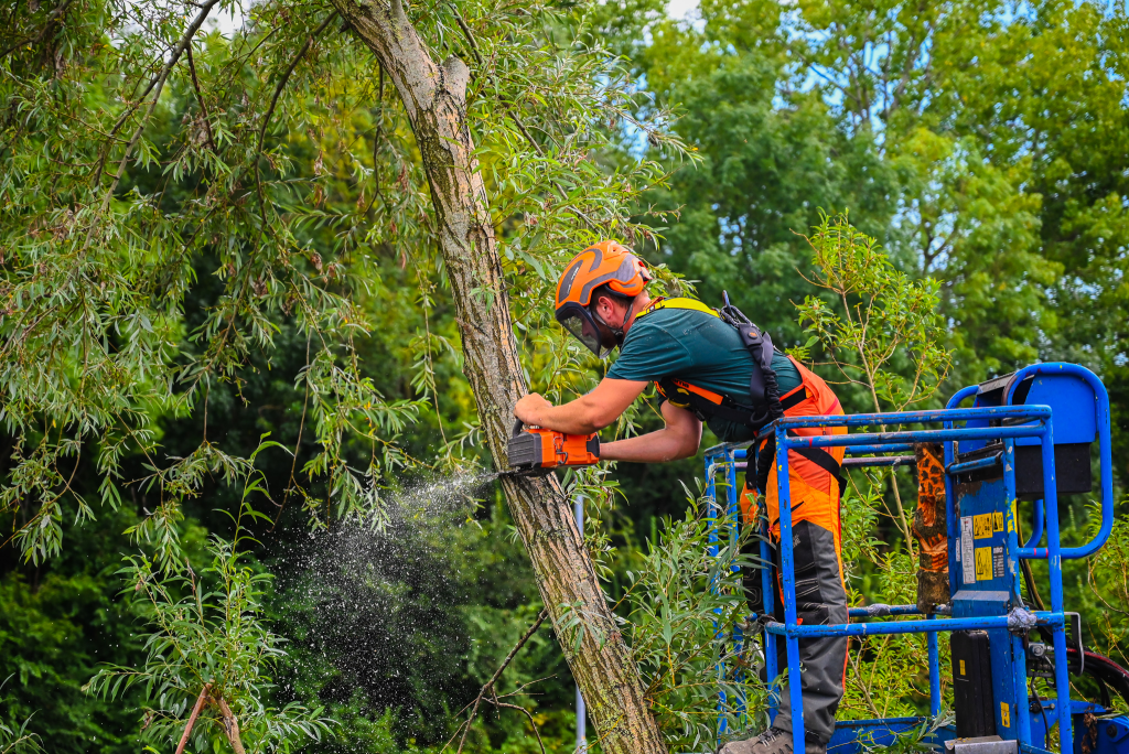 Boomverzorger Baneninhetgroen (81)