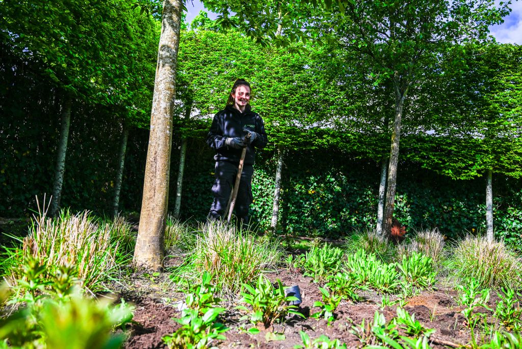 Groene beroepen hovenier opleiding