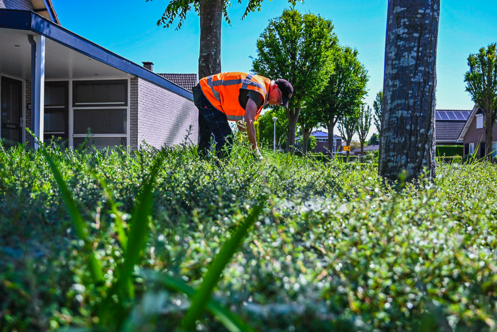 werken in de groenvoorziening Apeldoorn