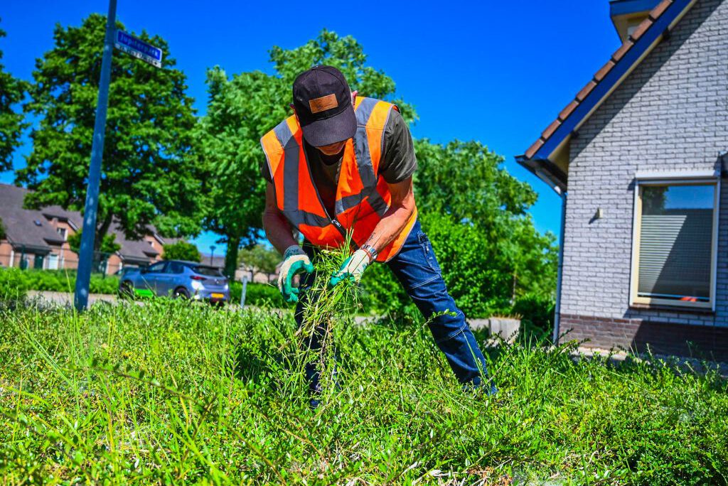 Hovenier vacature Overijssel (2)