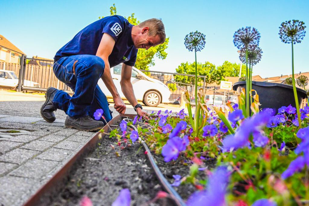 Hovenier vacature Overijssel (4)