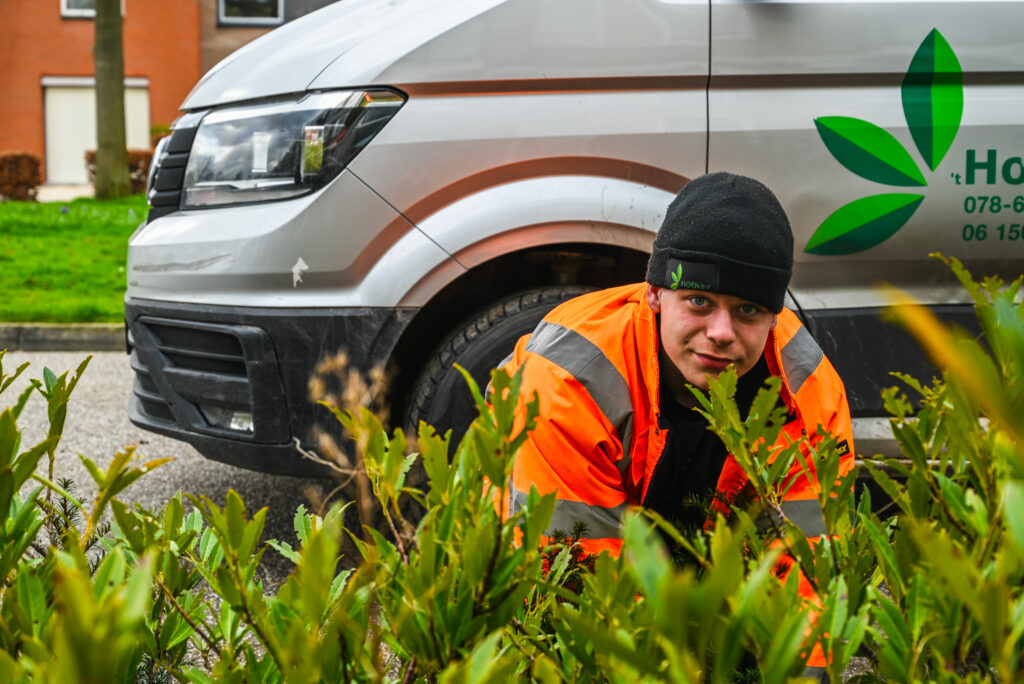 Opleiding tot hovenier