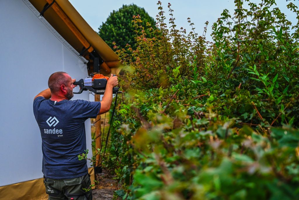 hoveniersopleiding groen