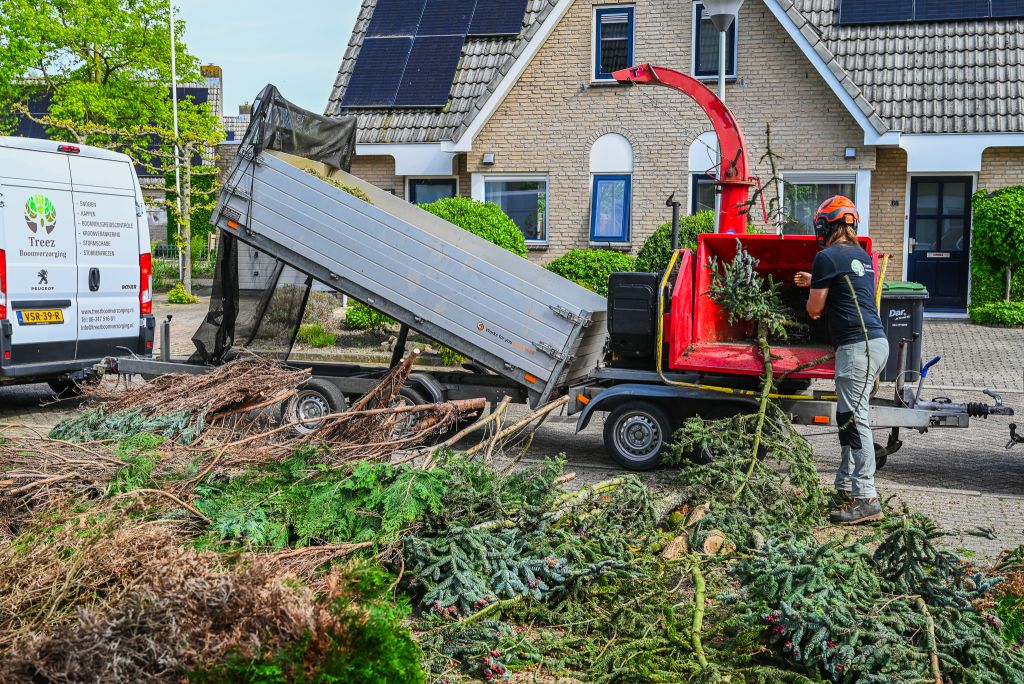 Werk als boomverzorger