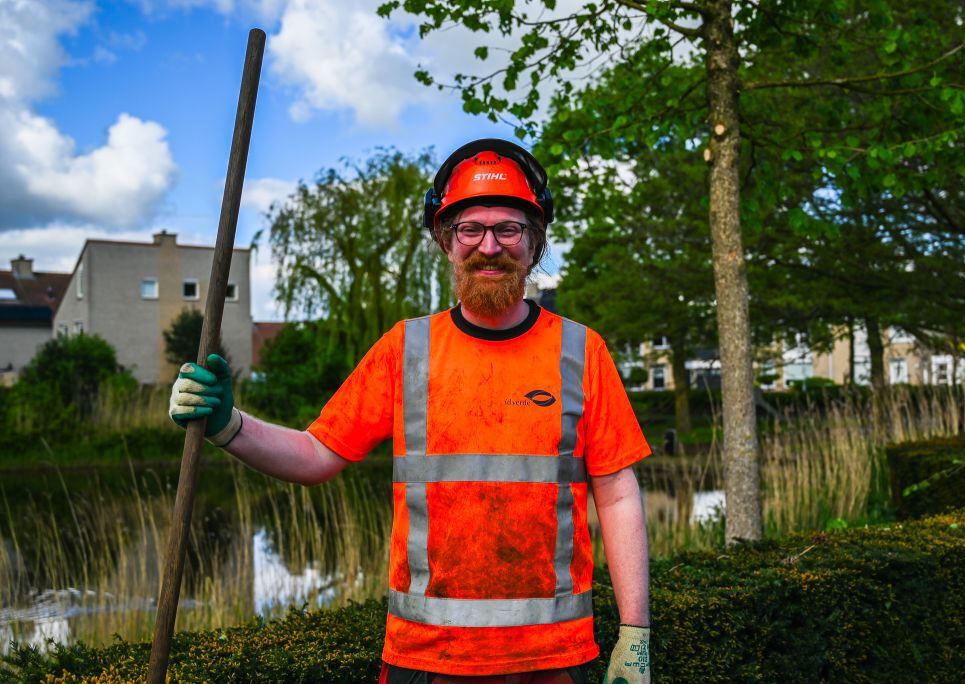 Werken in de boomverzorging