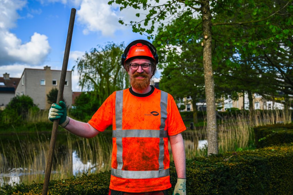 Werken in de boomverzorging