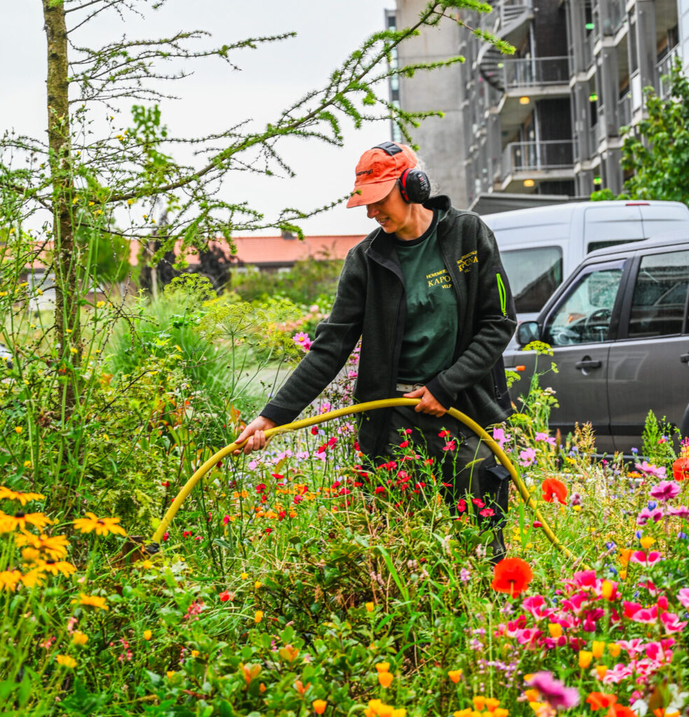 Creatieve projecten hovenier onderhoud