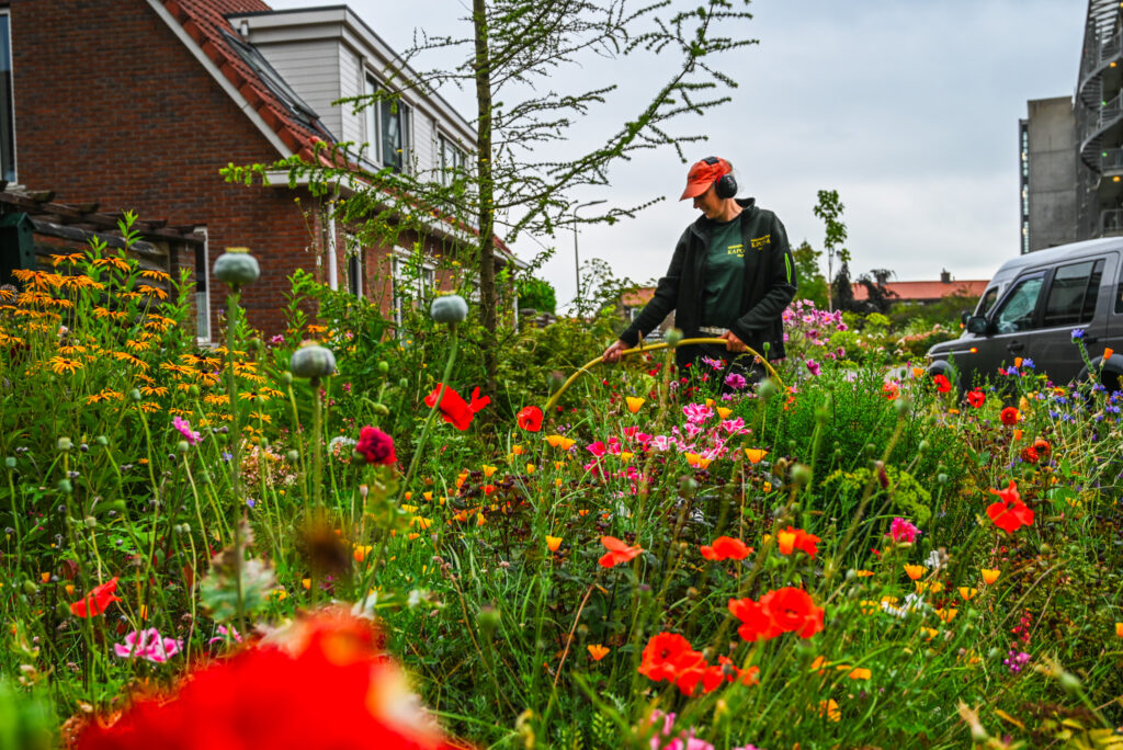 Hovenier onderhoud tuin