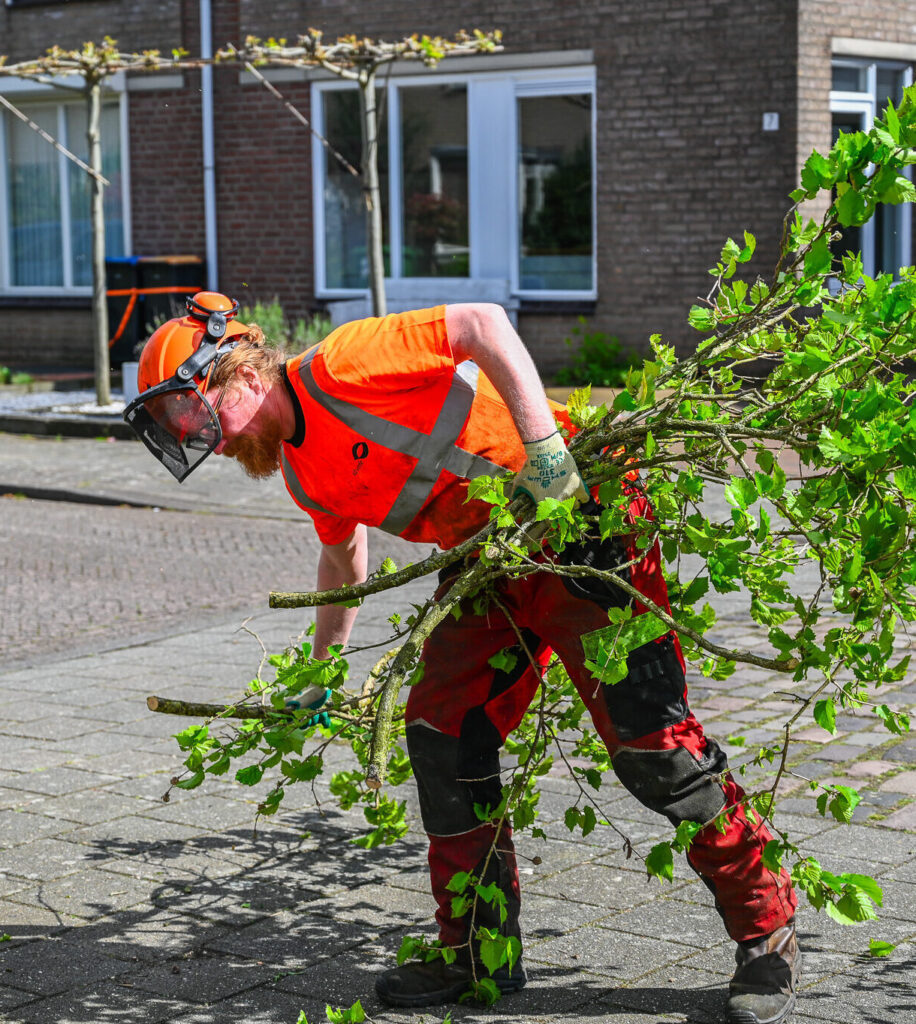 zzp groenvoorziening